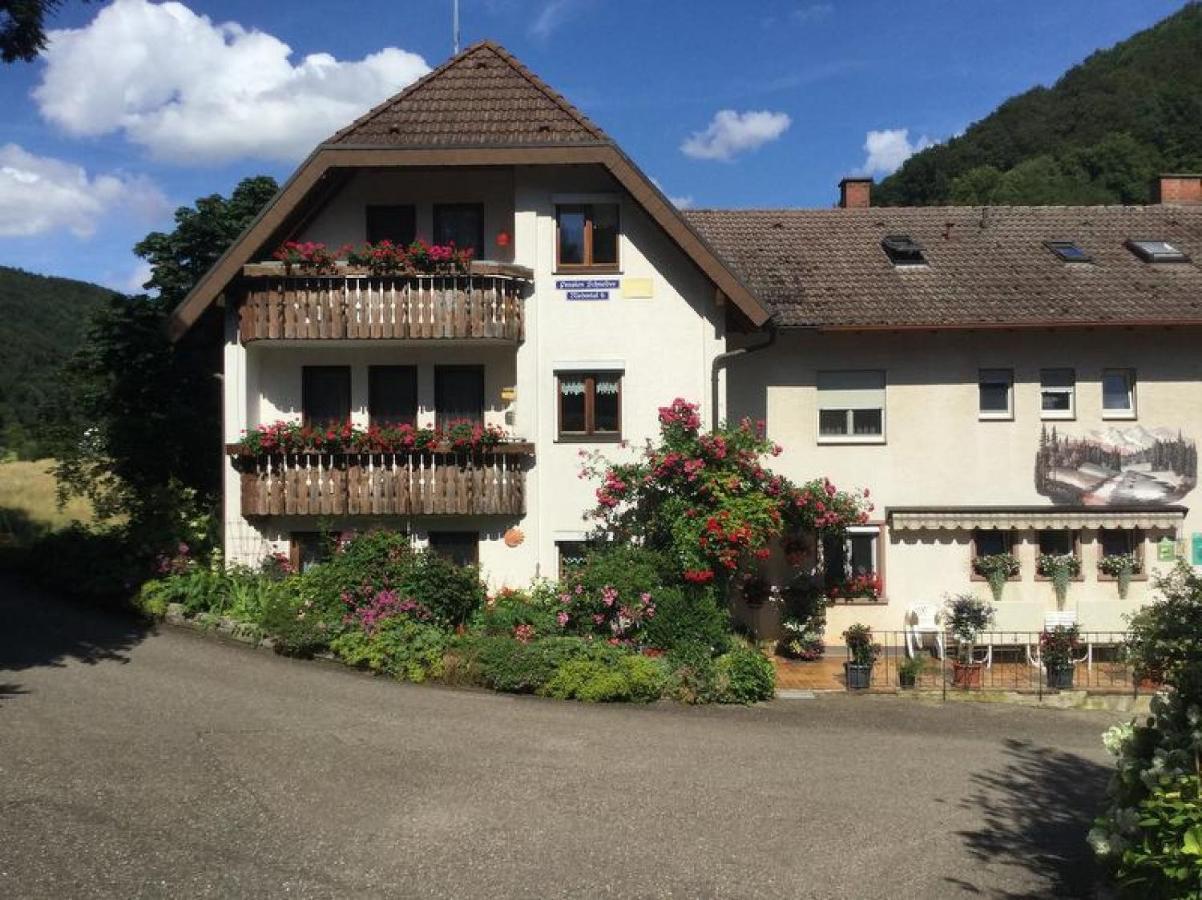 Pension Schneider Freiamt Exterior foto